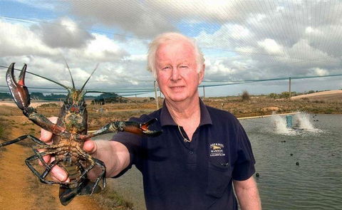 Food Stories Chinese Canteen - Accommodation 4U 14