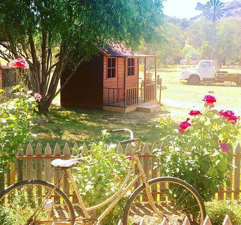 Rollonin Cafe - Accommodation 4U 7