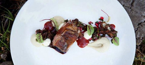 MIKA Airlie Beach - Accommodation 4U 14