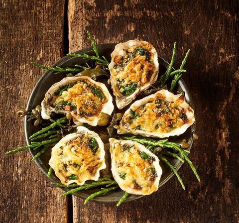 MIKA Airlie Beach - Accommodation 4U 2