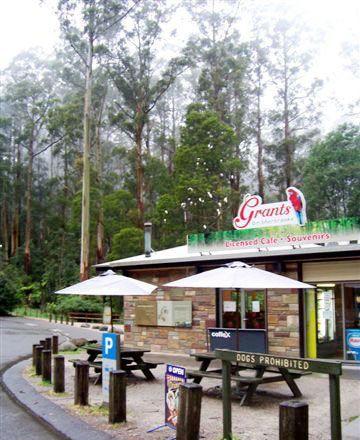 Kangaroo Island Fresh Seafoods And Takeaway - Accommodation 4U 5