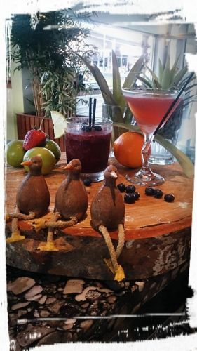 Limetree Bar & Restaurant - Accommodation 4U 2