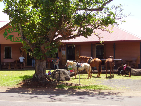 Currajah Hotel - Accommodation 4U 1