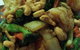 Coco Thai Restaurant - thumb 3
