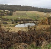 Fat Pig Farm - Accommodation 4U