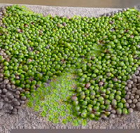 Wattle Hill Olives - Accommodation 4U