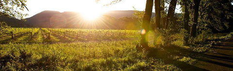 Sam Miranda King Valley - Accommodation 4U 4