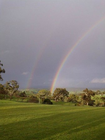 Tenafeate Creek Winery - Accommodation 4U 0