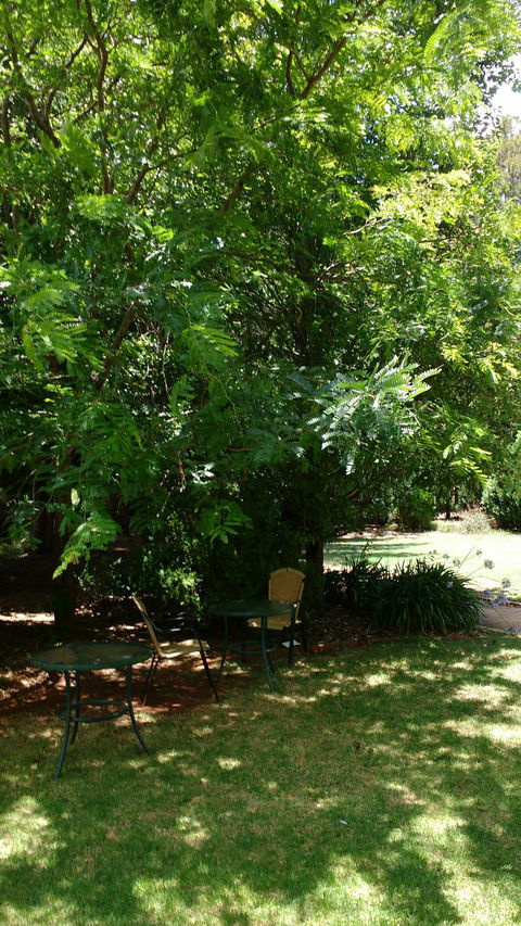 Kingfishers Cafe Restaurant - Accommodation 4U 1