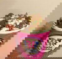 Baskin Robbins Toowoomba - Accommodation 4U