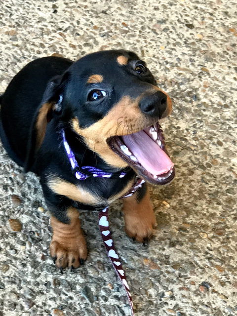 Harry's Place Cafe - Accommodation 4U 1