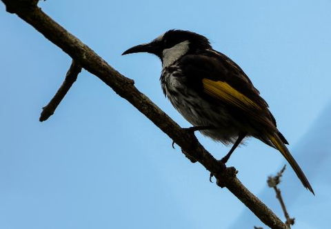 Ivy Cottage - Accommodation 4U 0