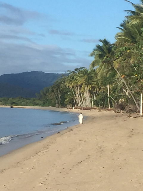 Newell Beach Takeaway And Cafe - Accommodation 4U 2