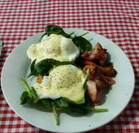 The Shed Cafe - Accommodation 4U