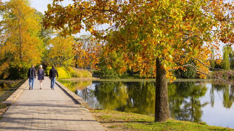 Crowne Plaza Canberra - Accommodation 4U 17