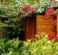 Pink Flamingo - Accommodation 4U