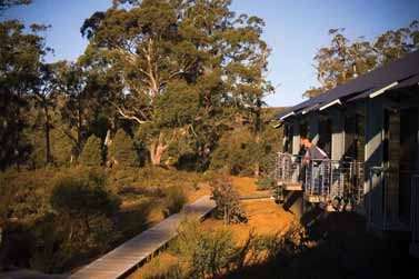 Cradle Mountain Wilderness Village - Accommodation 4U 2