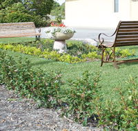 SureStay by BW The Clarence on Melville - Accommodation 4U