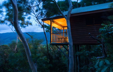 Thala Beach Nature Reserve - Accommodation 4U 0