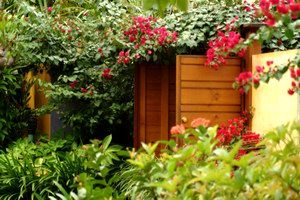 Pink Flamingo - Accommodation 4U 0