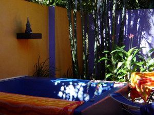 Pink Flamingo - Accommodation 4U 1