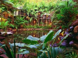 Daintree Eco Lodge & Spa - Accommodation 4U 0