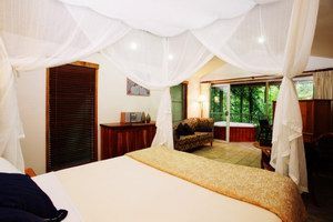 Daintree Eco Lodge & Spa - Accommodation 4U 1