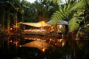 Daintree Eco Lodge & Spa - Accommodation 4U 2