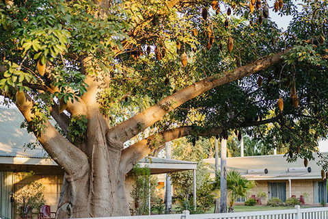 Kimberley Grande Resort & Conf Ctr - Accommodation 4U 0
