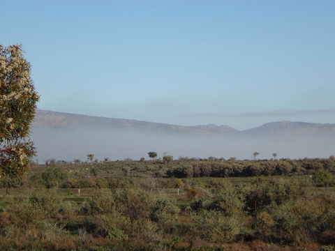 Windana Cottages - Accommodation 4U 44