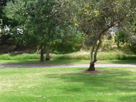Victor Harbor Holiday Park - Accommodation 4U 24
