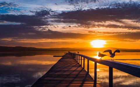 Lakeside Waterfront Apartment The Entrance - Accommodation 4U 22