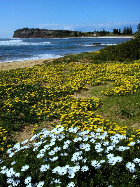 Serenity On Narrabeen Beach - 1Bdr Beachside Retreat - Accommodation 4U 10