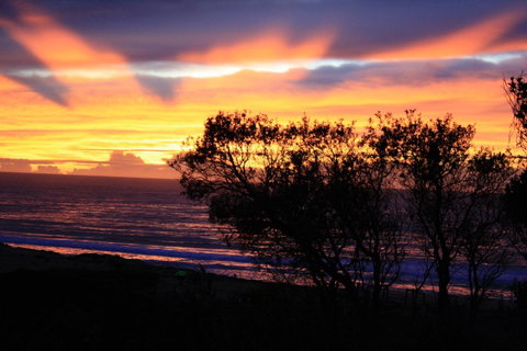Serenity On Narrabeen Beach - 1Bdr Beachside Retreat - Accommodation 4U 1