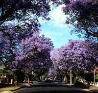 Monaco Court Apartment Adelaide - Accommodation 4U