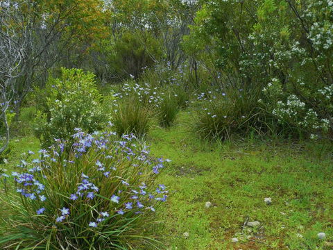 Kestrel Downs - Accommodation 4U 32
