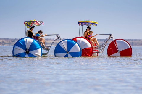 Discovery Parks - Lake Bonney - Accommodation 4U 26