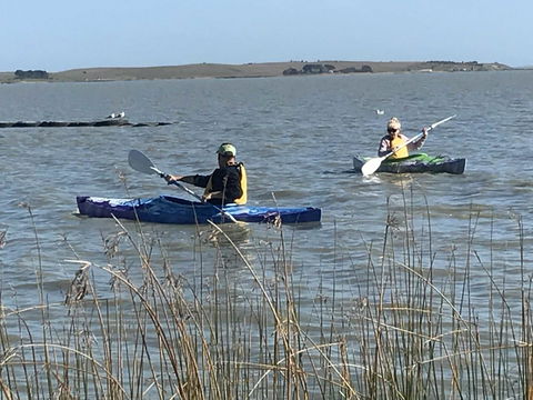 Hydeaway Bay - Own Private Bay + Kayaks - Accommodation 4U 30