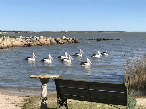 Hydeaway Bay - Own Private Bay + Kayaks - Accommodation 4U 18