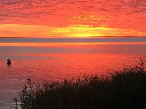 Hydeaway Bay - Own Private Bay + Kayaks - Accommodation 4U 37