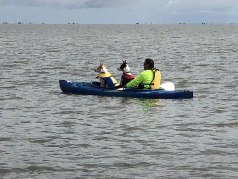 Hydeaway Bay - Own Private Bay + Kayaks - Accommodation 4U 31