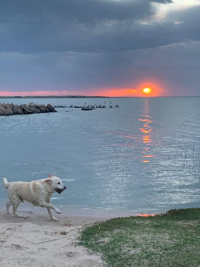 Coorong SA Accommodation 4U