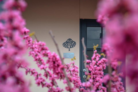 The Studios By Manna, Ascend Hotel Collection - Accommodation 4U 28