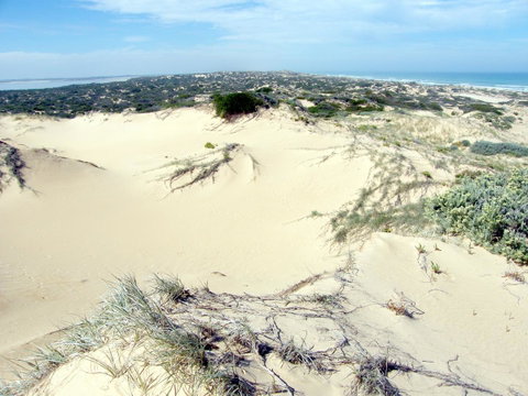 Coorong Waterfront Retreat - Accommodation 4U 32