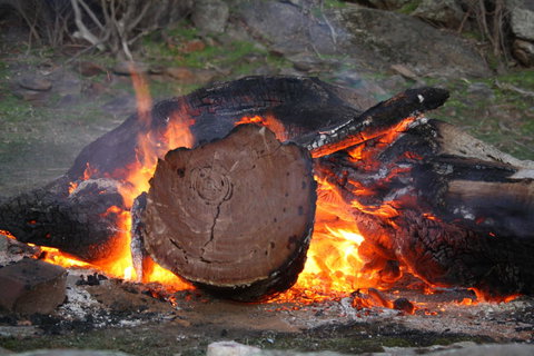 Rabbiters Hut - Accommodation 4U 15