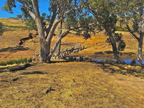 Rabbiters Hut - Accommodation 4U 22