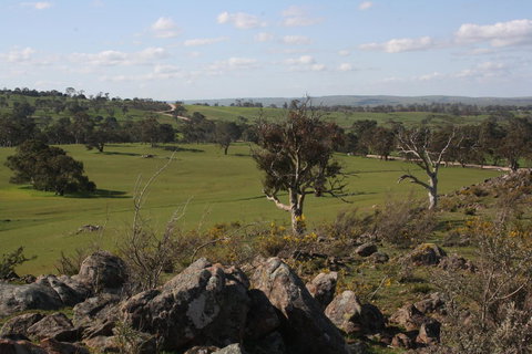 Rabbiters Hut - Accommodation 4U 28