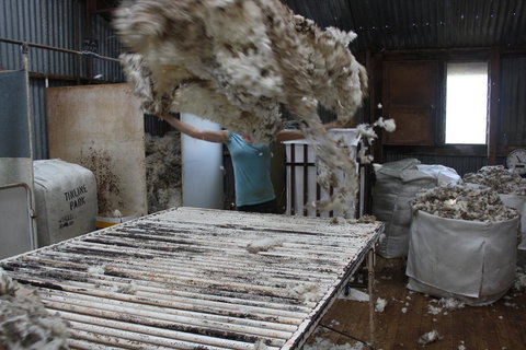 Rabbiters Hut - Accommodation 4U 19