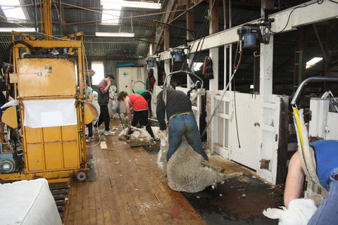 Rabbiters Hut - Accommodation 4U 18