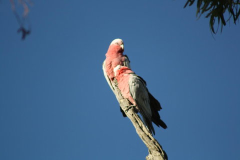 Rabbiters Hut - Accommodation 4U 27
